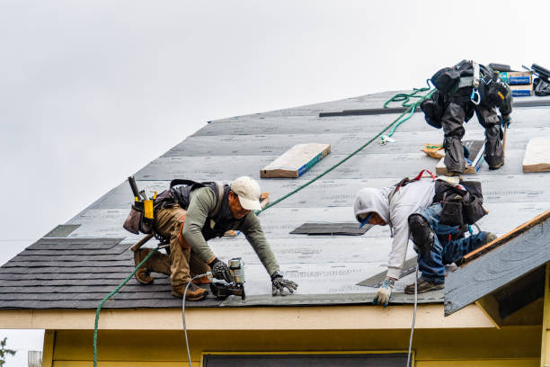 Professional Roof Installation technician working in Sunapee, NH